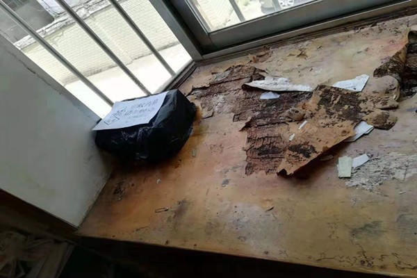 珠海中山滅白蟻多少錢一次-咨詢我們 珠海中山滅白蟻多少錢一次-咨詢我們