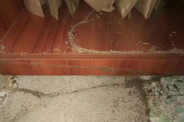 珠海中山滅白蟻多少錢一次-咨詢我們 珠海中山滅白蟻多少錢一次-咨詢我們