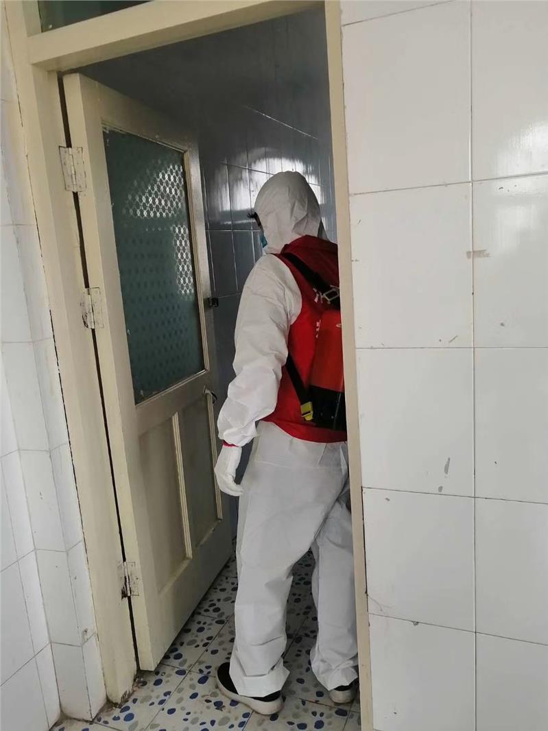 珠海專業(yè)除蟲 珠海專業(yè)除蟲