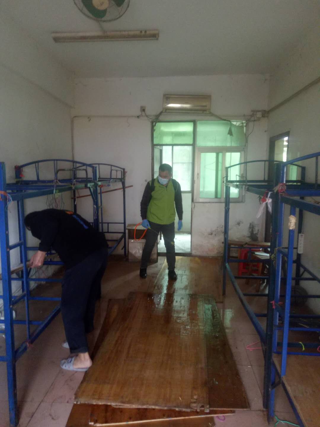 珠海工廠宿舍除四害消殺 珠海工廠宿舍除四害消殺