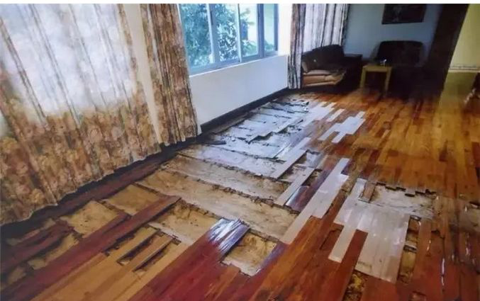 珠海市民眾白蟻防治有限公司,珠海殺蟲(chóng)滅鼠公司,白蟻防治 珠海市民眾白蟻防治有限公司,珠海殺蟲(chóng)滅鼠公司,白蟻防治