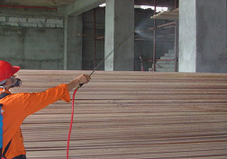 長(zhǎng)沙白蟻防治