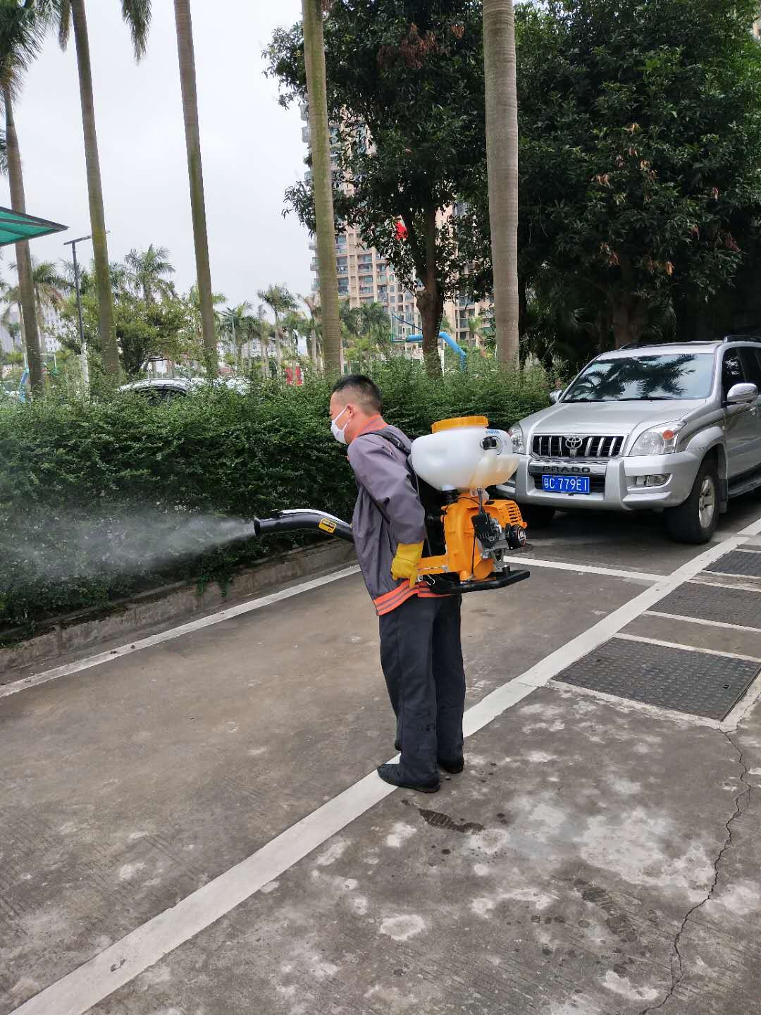 1585206489124254.jpg a3.jpg