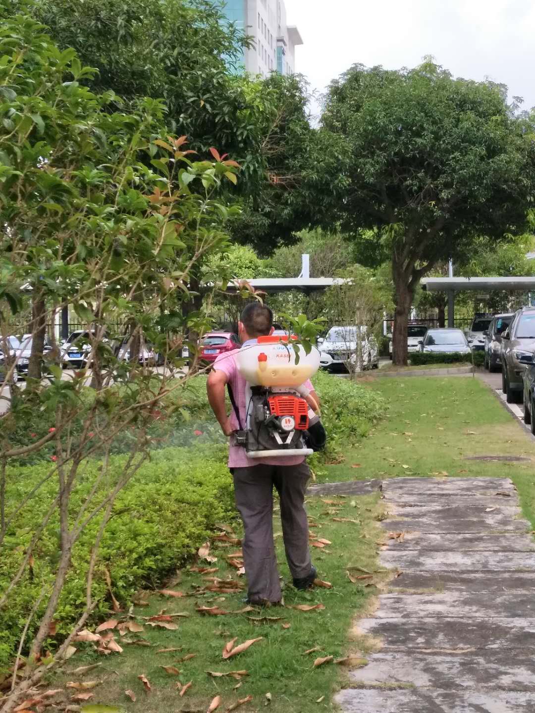 民眾殺蟲 民眾殺蟲