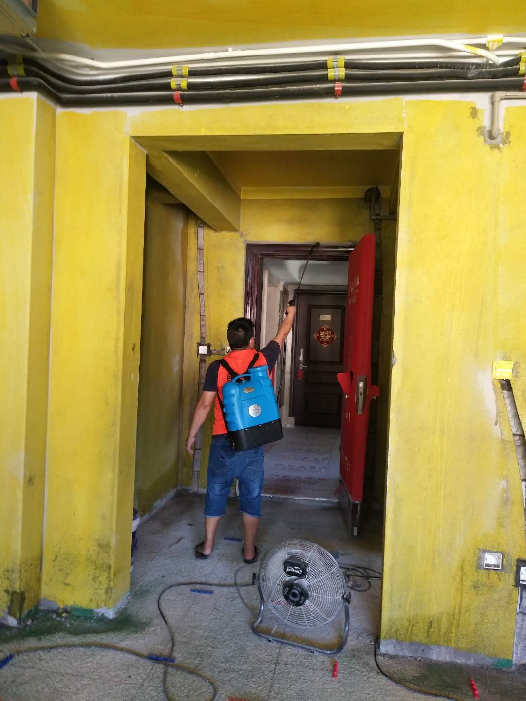 1597113349480923.jpg 1597113349480923.jpg