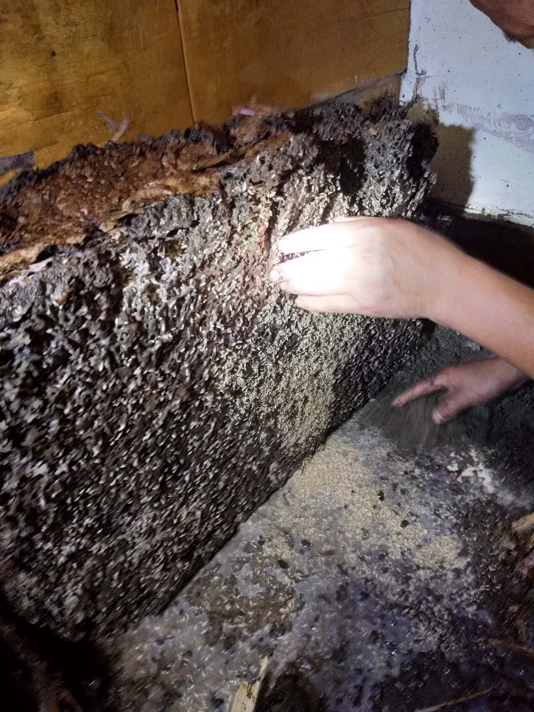 1615259764776594.jpg 1615259764776594.jpg