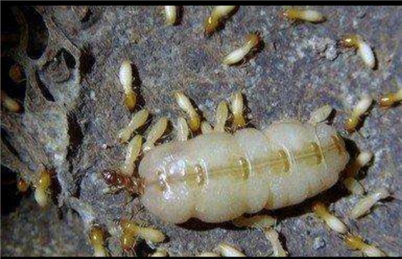 1690001354926947.jpg 1690001354926947.jpg